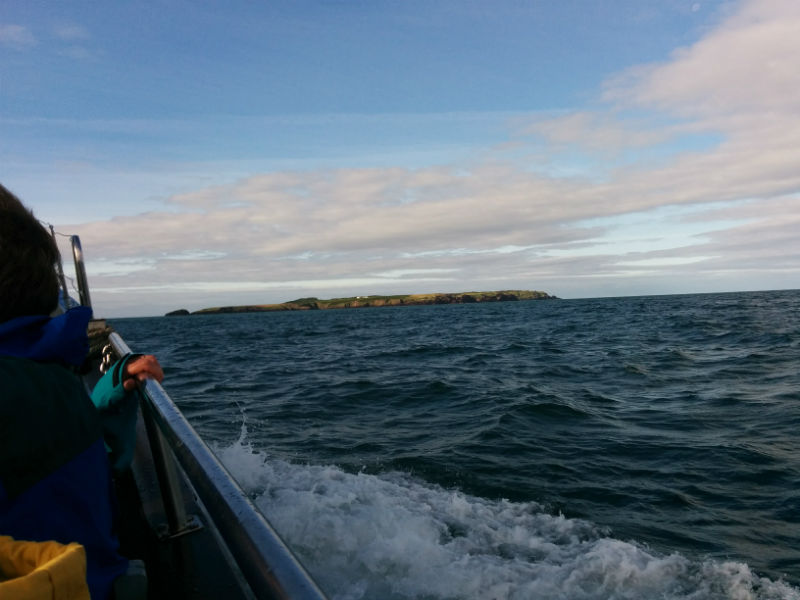 Taking the boat to Skokholm